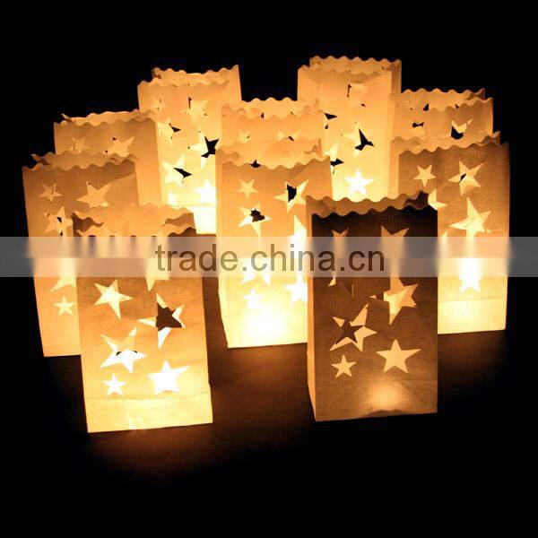 luminary lantern paper candle bags