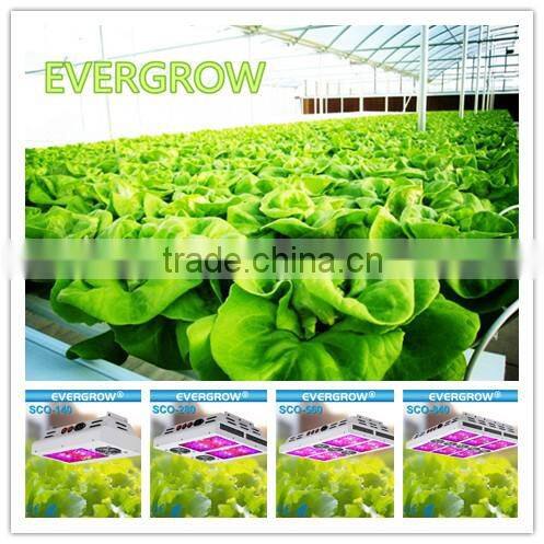 Grow lights with LED. Evergrow 2016 New style Saga Sco-840w High photosynthetic efficiency.
