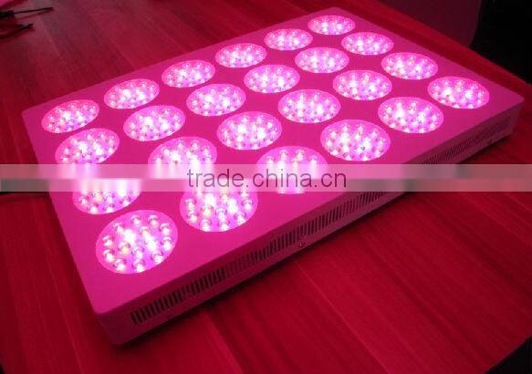 Evergrow NOVA F24 Super power 1000w LED Grow Lights