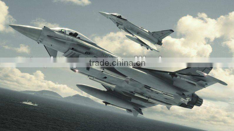 1/14 epo foam rc plane