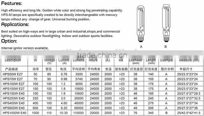 High Pressure Sodium Lamp 250W 220V E40 Tubular