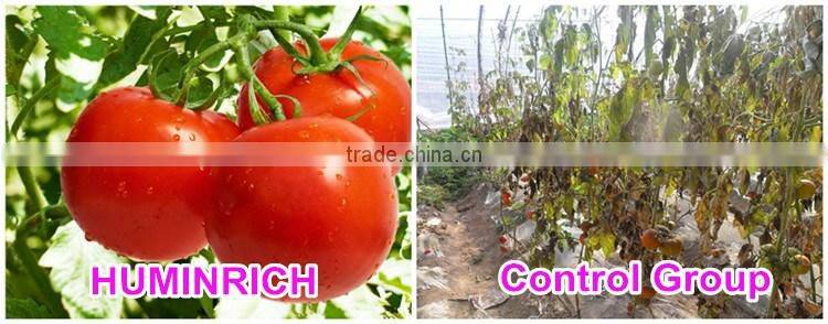 Huminrich Shenyang SH9002s-1 100PCT 55HA+65OM Soluble Super Grade Humic Acid