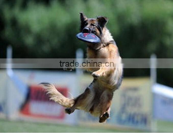 2016 new fashion folding dog flying disc