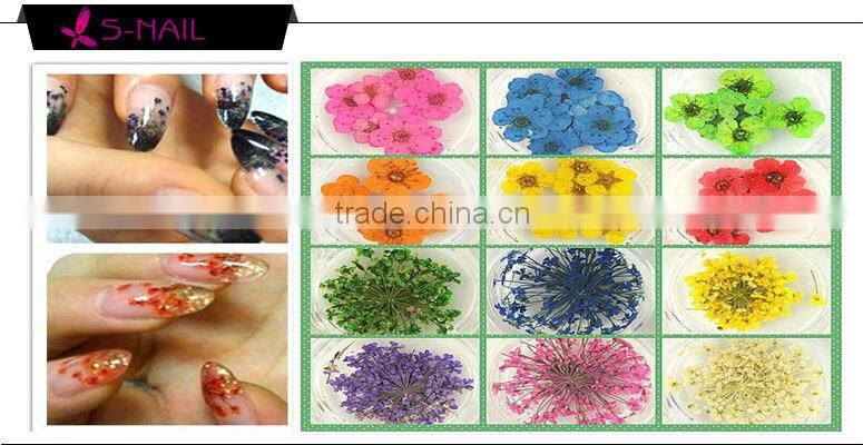 Natural dried flower decoration , nail art dried flowers
