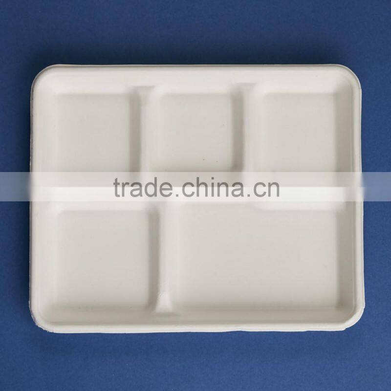 TY-05 10"x8" 5 compartments disposable food tray
