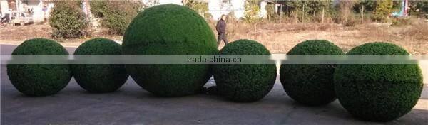 Giant artificial iron frame plastic topiary balls