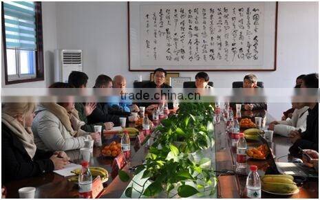 SBR bitumen modifier granule