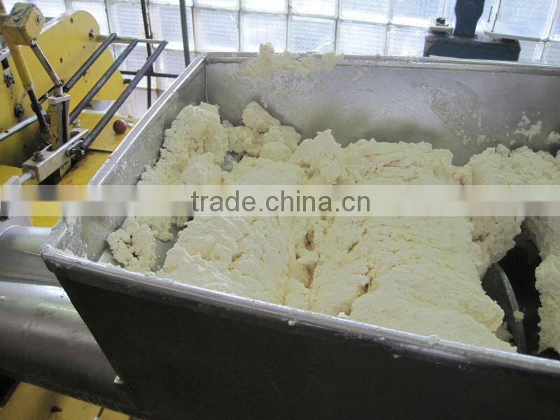 500LPH industrial type soft cheese making machines
