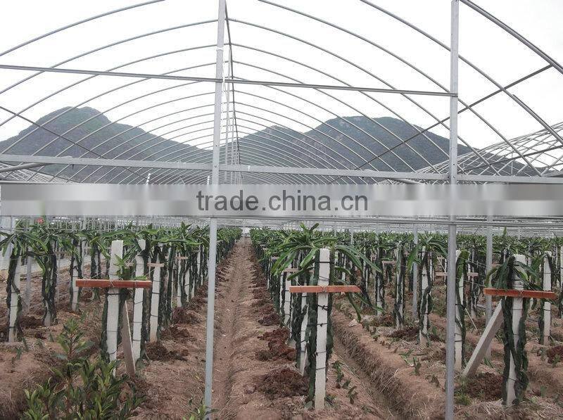 Large Multi-span Glass Greenhouse-commercial greenhouses