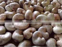 Raw Dried Cashew Nut/Cashew nuts in Africa