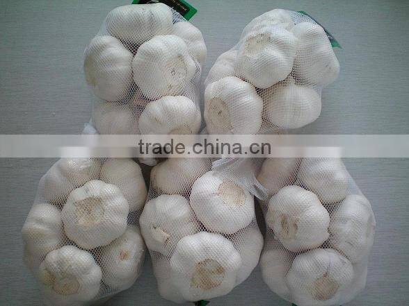 Certified GAP/ KOSHER/ HALAL Frozen White Garlic