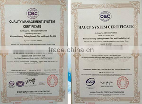 Inner Mongolia seeds sunflower 5009