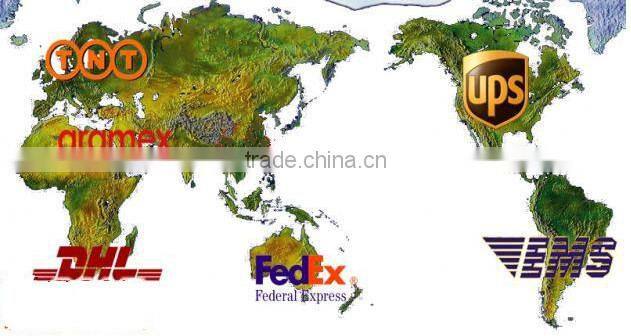 high yield and disease resistant red root chinese chives seeds