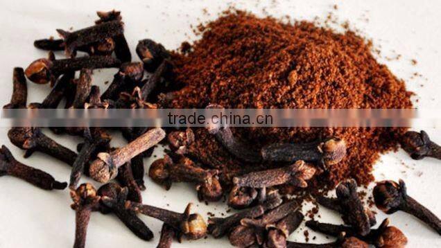 CLOVE BUD ESSENTIAL OIL