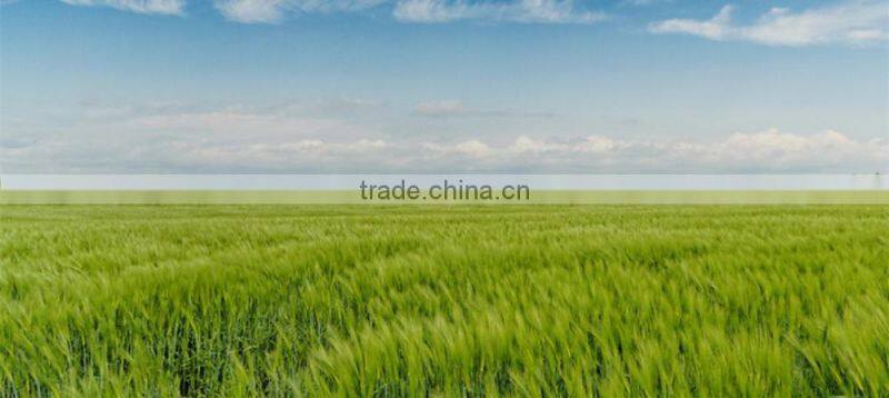 Natural Zeolite Granular for Agriculture Soil Conditioner