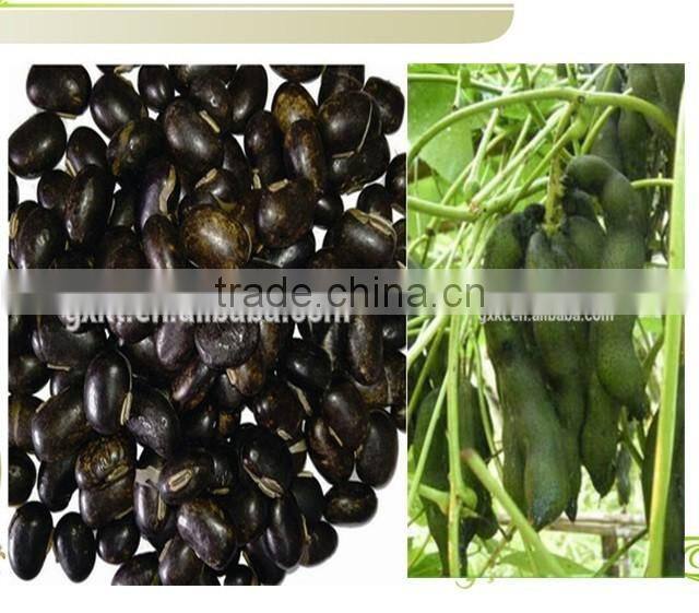 Aphrodisiac Medicine Velvet Bean /Mucuna Capsule pruriens