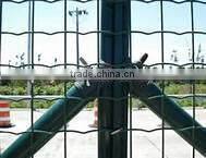 Holland wire mesh fence/PVC coated welded mesh/Wave Network