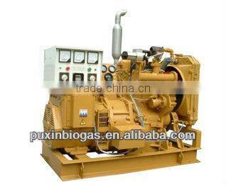 Professional and excellent 10kw biogas electric generator