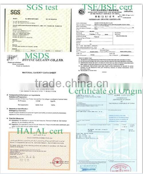 gelatin China supplier animal bulk gelatin halal gelatin for sweets
