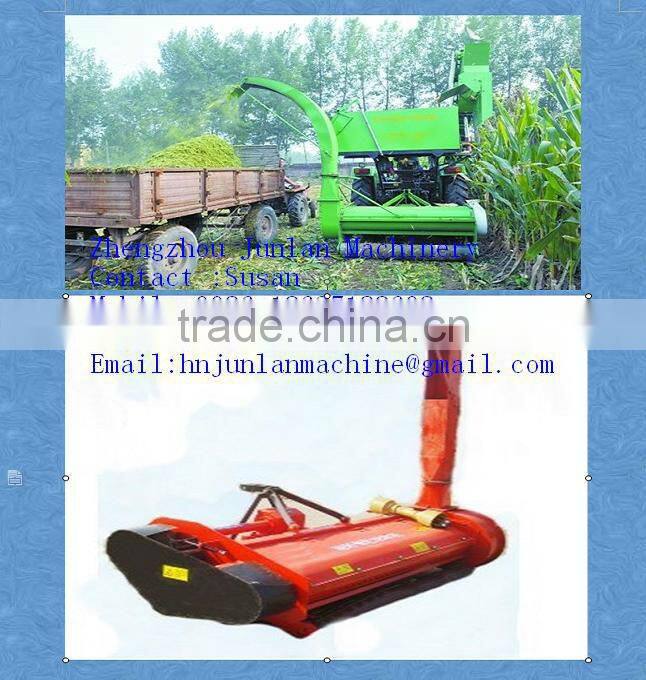 animal feed corn silage