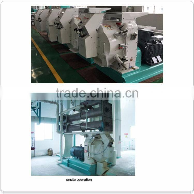 High Quality Aqua Feed Pellet Mill Machine/Fish Fodder Particle Machine for Sale
