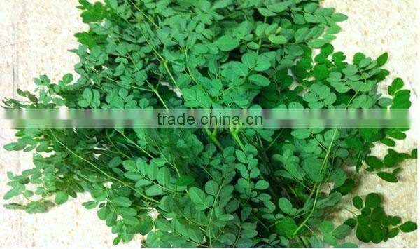 Walnut kernel five layer continuous type hot air dryer