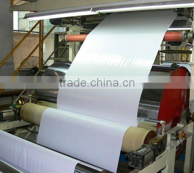 PVC Vinly for Famous Fruit Paintings/ PVC Adhesive Vinyl Sticker