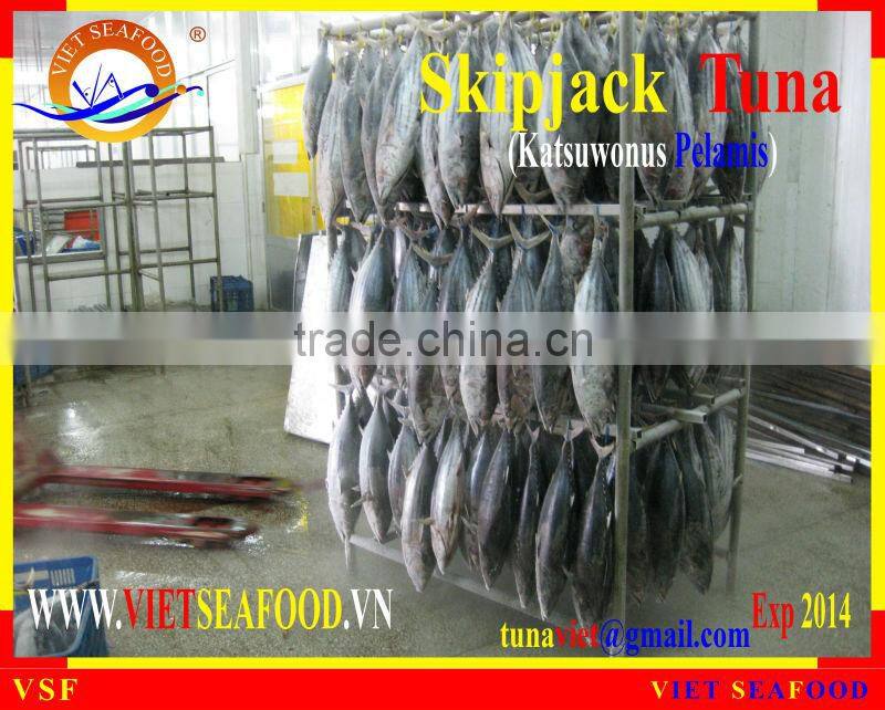 FROZEN W/R SKIPJACK TUNA