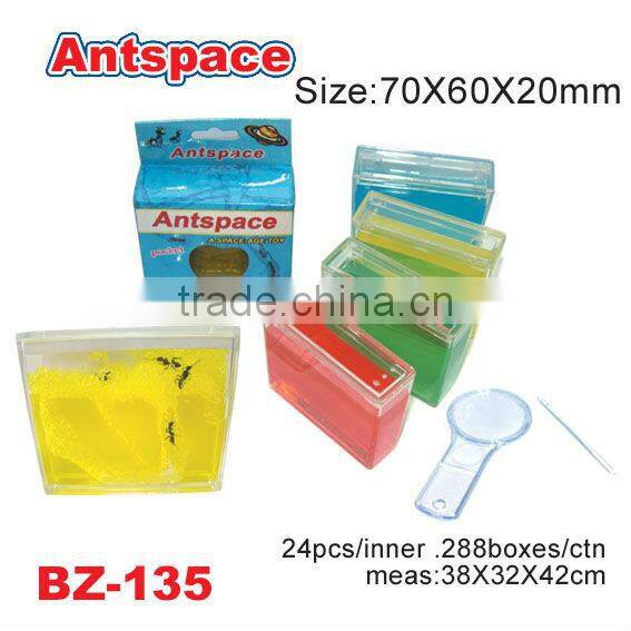 Educational Ants Space toy for teens