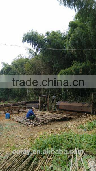 bamboo garden sticks /bamboo poles/bamboo canes