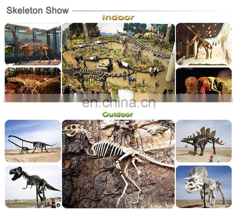 Amusement Theme Park Exhibition Dinosaur Fossil