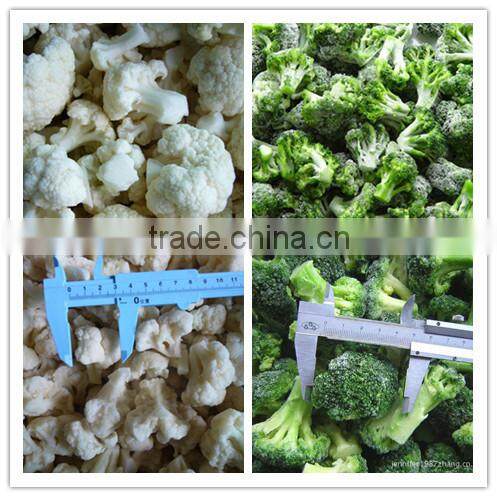 Agriculture organic frozen product, IQF, frozen vegetables & frozen broccoli