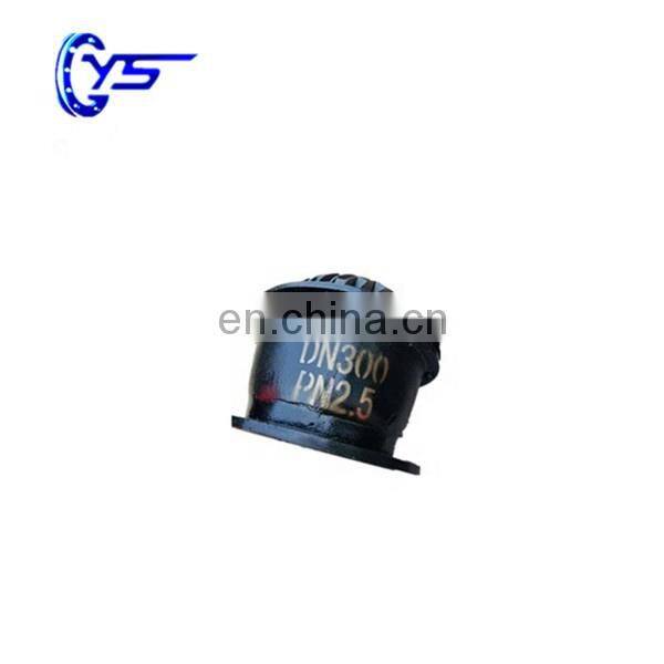 Black Paint GB Standard Flange End Non Return Cast Iron Foot Valve