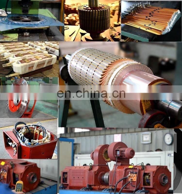 Z,Z4,ZYZJ,ZFQZ series Medium Large Size Electric DC Motor