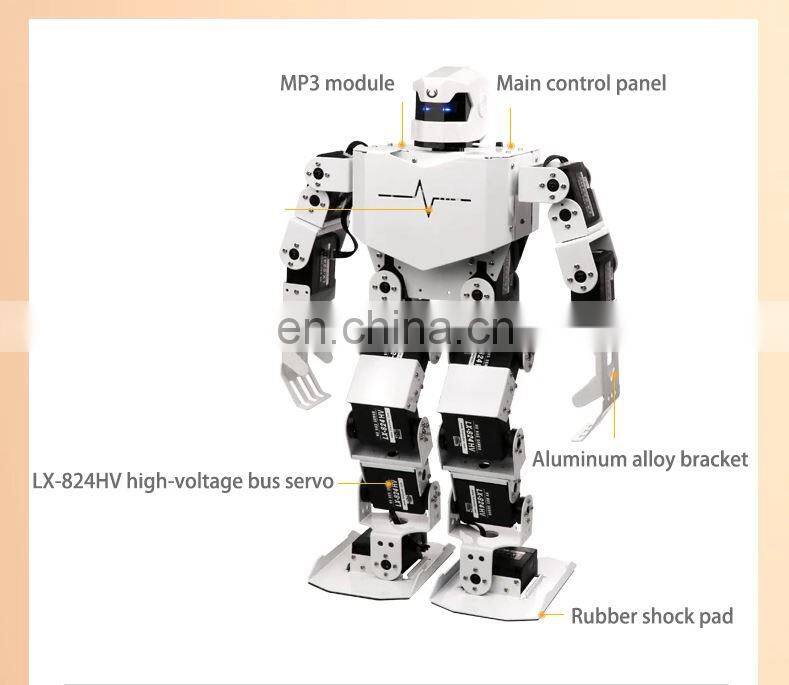 Assembled RoboSoul H5S 16 DOF Humanoid Robot Programmable Robot Education Dancing Robot