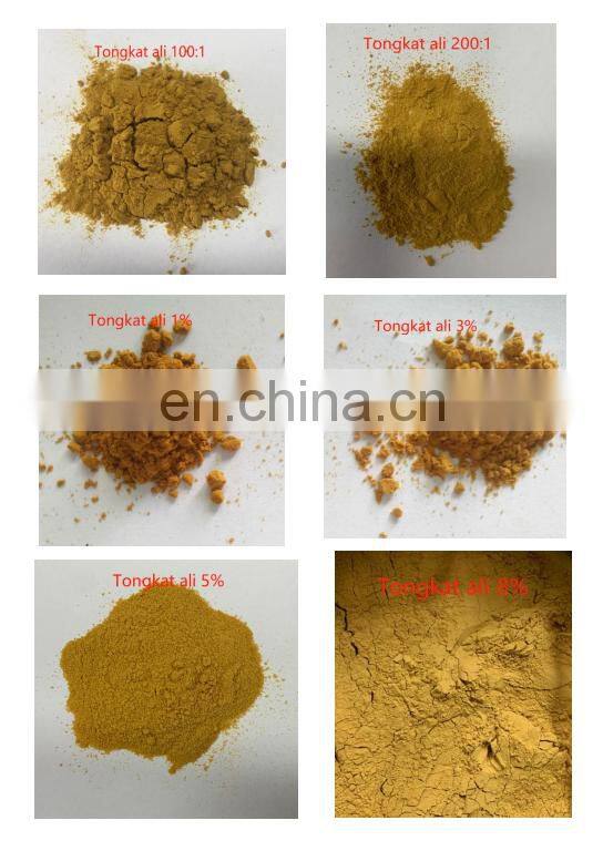 Sciyu supply Tongkat ali root extract powder 100:1,200:1