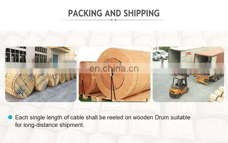 OEM optical fiber factory 288 212 196 144 112 96 72 64 48 24 12 core ADSS optic fiber cable