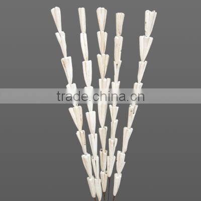 Sola rajni stick