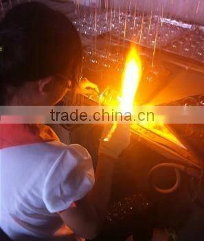 2016 TOP SALE double wall glass tea pot with FDA