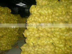 New crop cold storage for potato with high quality