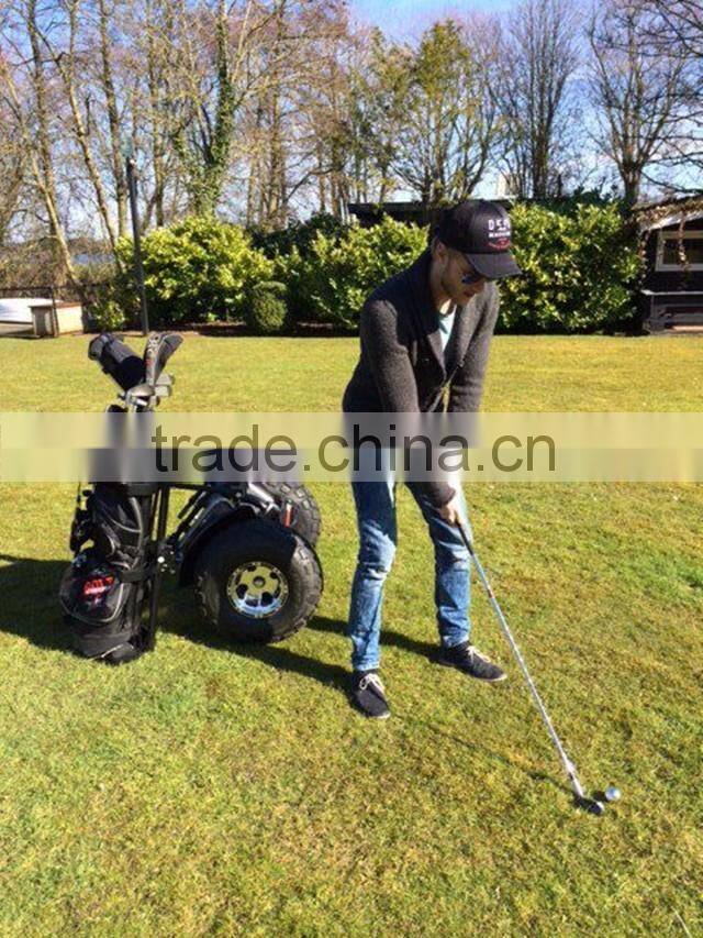 2 wheels electric skateboard Golf chariot with handle CE ROHS FCC MSDS