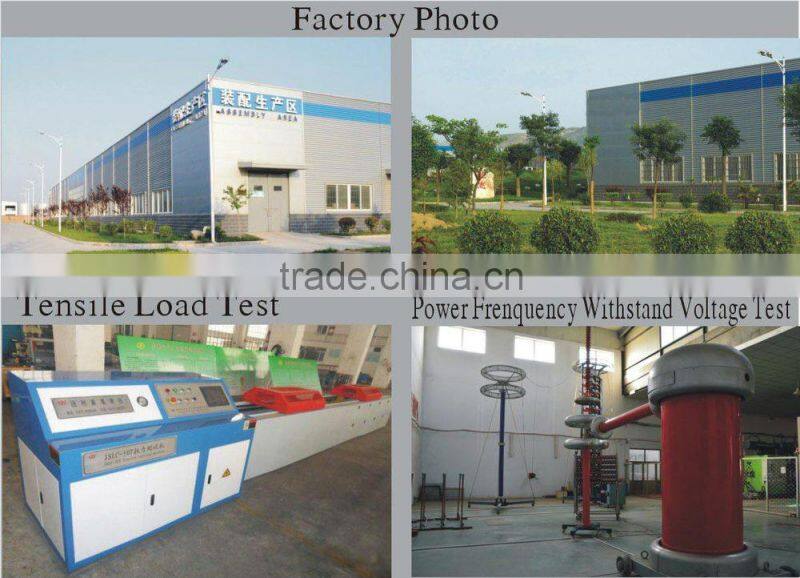 Epoxy Resin Screw and Nut