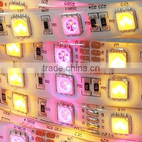 color changeable 60leds/m 72leds/m waterproof IP65 SMD 5050 RGB+CW flex Led strip