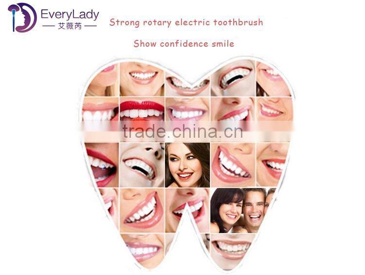 EveryLady electric toothbrush china children toothbrush