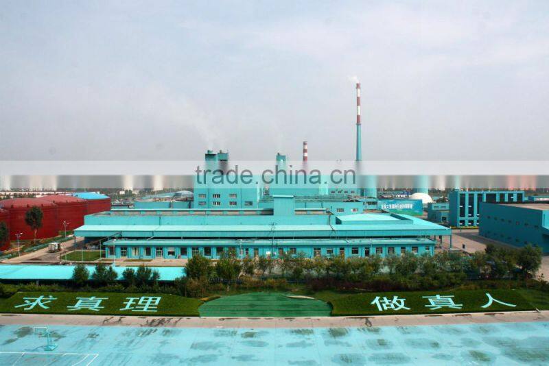 Beverage Soy Protein