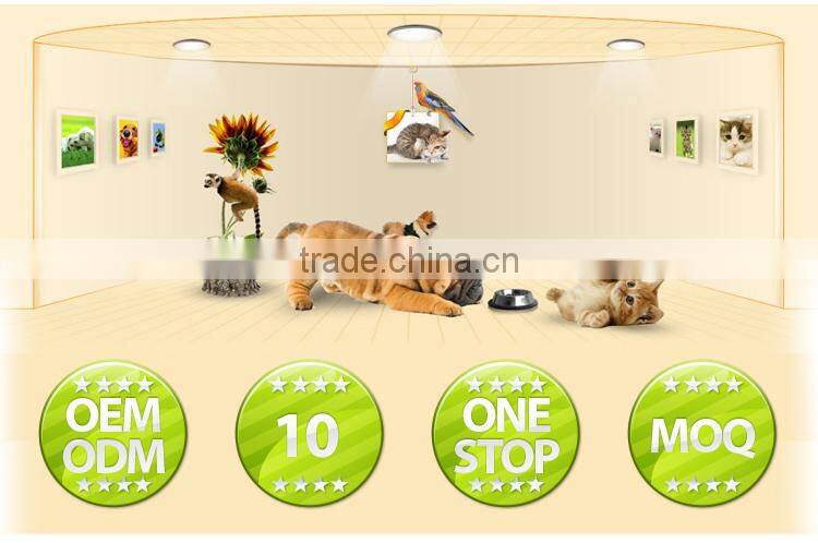 Latest dog rubber glove with cotton material inside