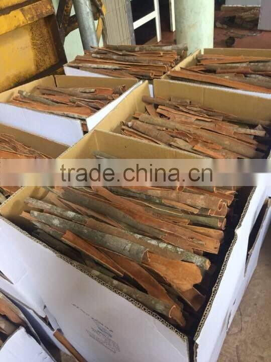 SPLIT CASSIA/SPLIT CINNAMON from Vietnam- Trusted Supplier (Viber/Whatsaap: 0084965152844)