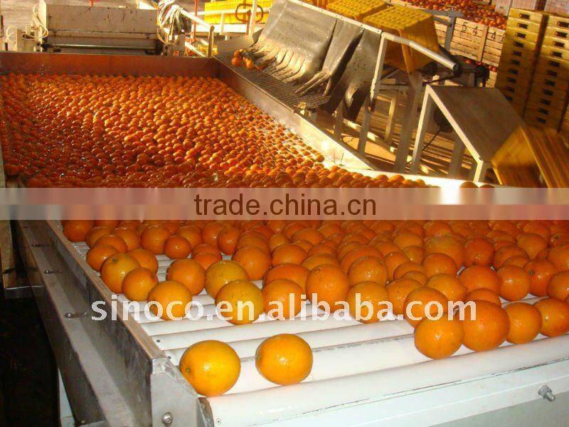 Newhall Navel Orange