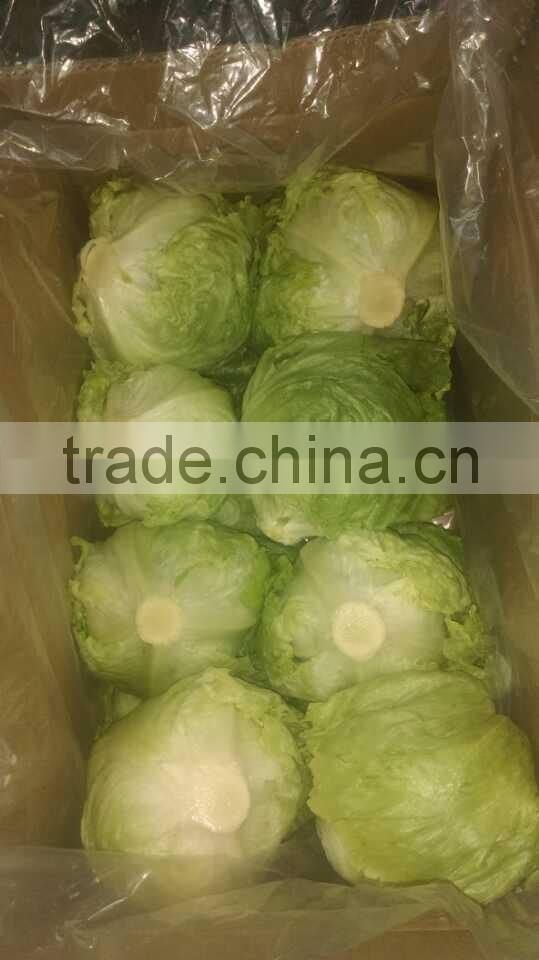 zhangbei Lettuce