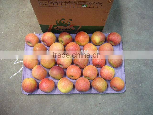 China Unbagged Fuji Apple